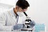 a man studying spores