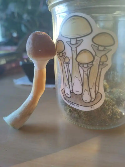 Fresh mushroom next to a jar with mushroom drawings on it.